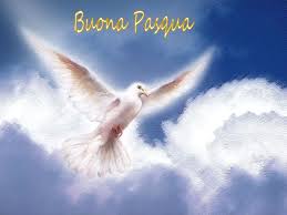 Anteprima